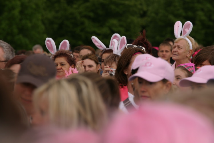 - Tom Cowland Photography - cancer research - Many a bunny